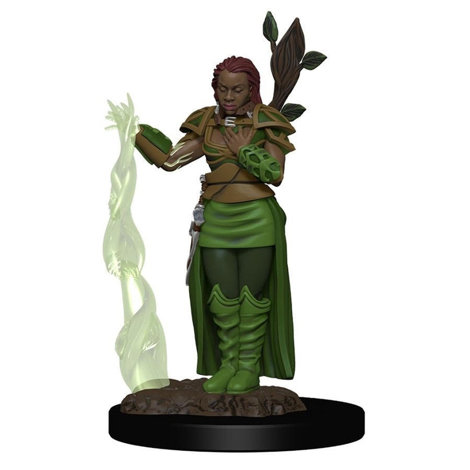 Icon of the Realms: (W2) Human Female Druid