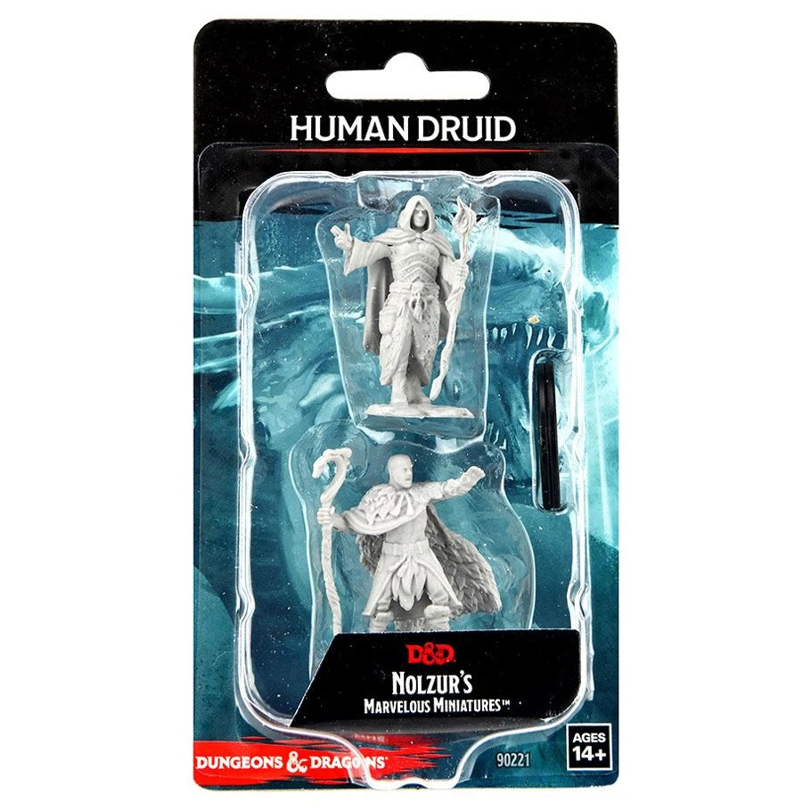 D&D: NMU - Human Druid Male