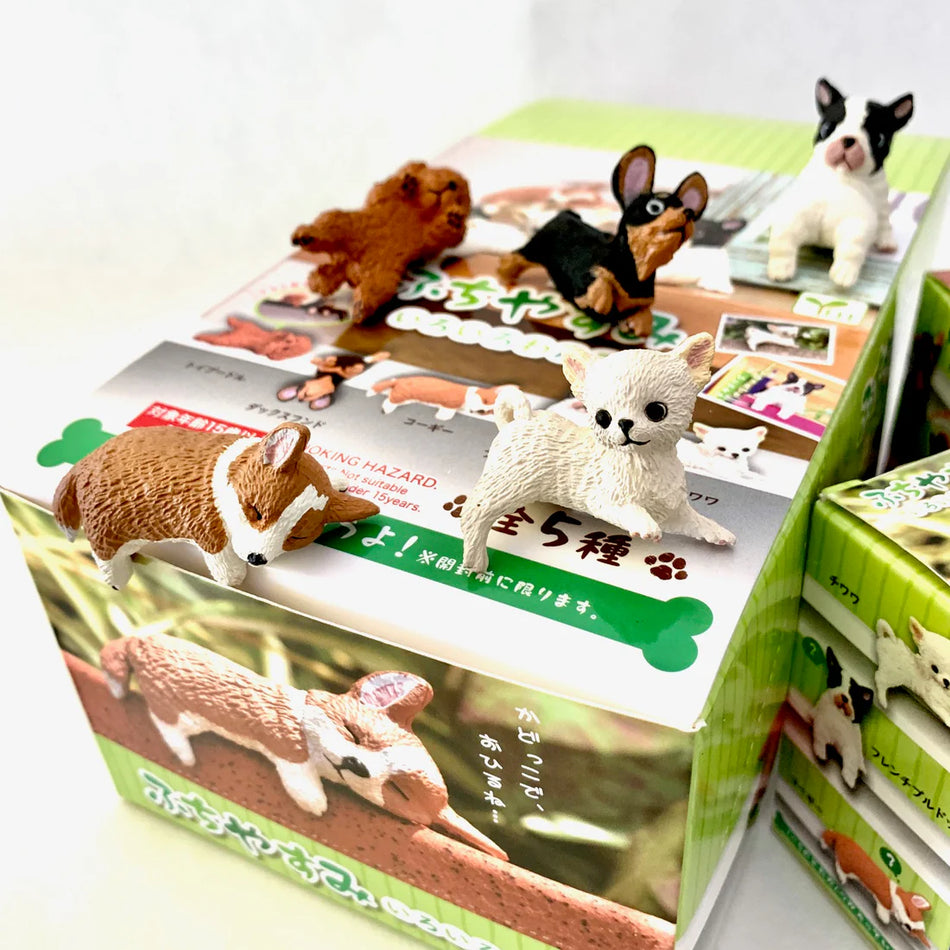 Playful Dog Mystery Box