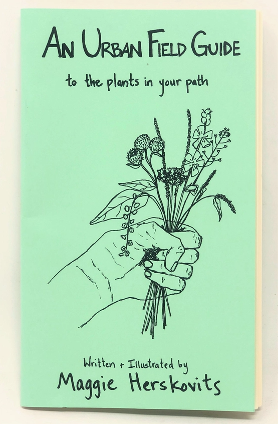 Urban Field Guide To the Plants in Your Path (Zine)