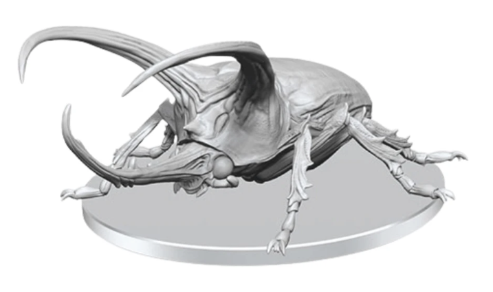 WZK DC Giant Rhinoceros Beetle