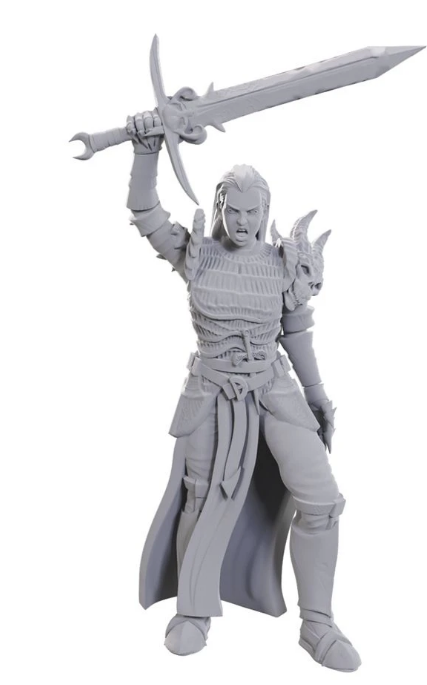 D&D: NMU - Blackguard