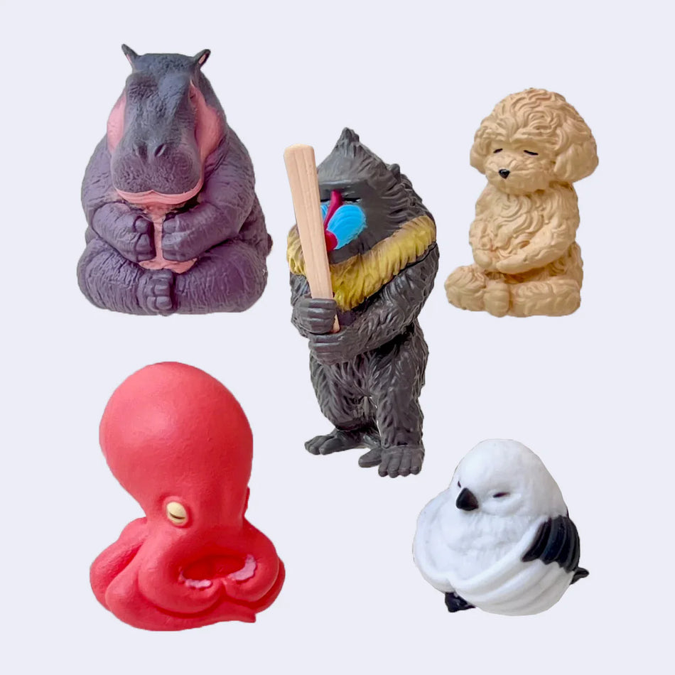 Zen Animals Mystery Box