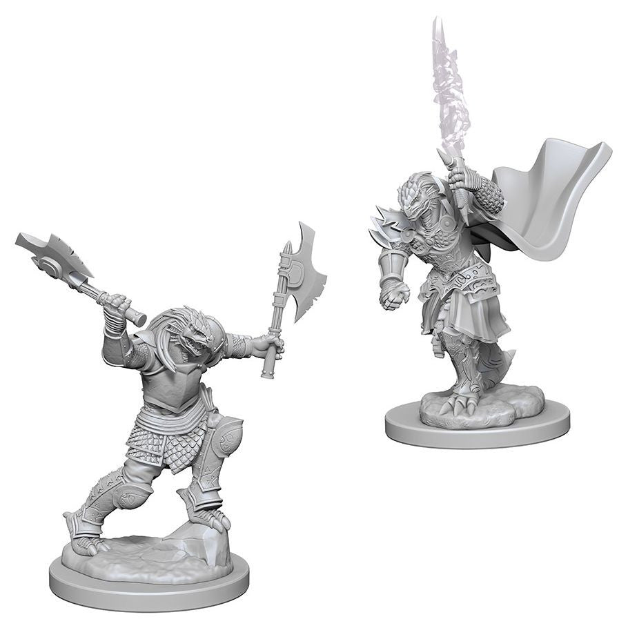 D&D: Nolzur's Marvelous Minis: Dragonborn Female Fighter W4