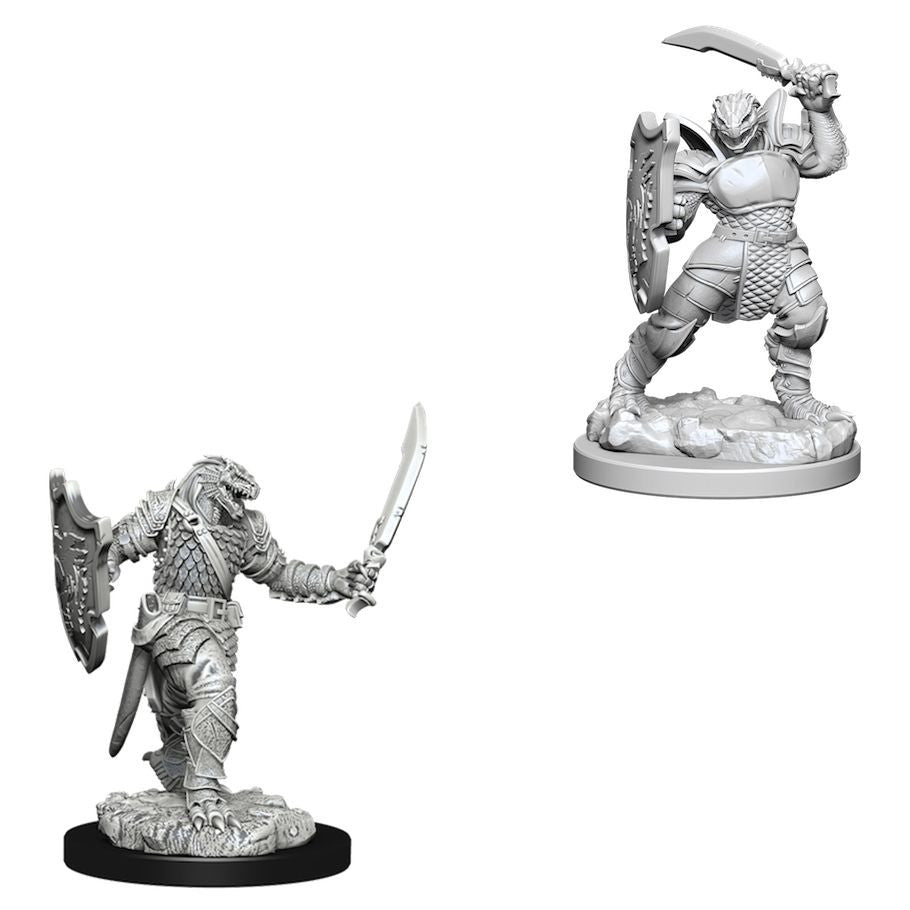 D&D: Nolzur's Marvelous Minis: Dragonborn Female Paladin W5