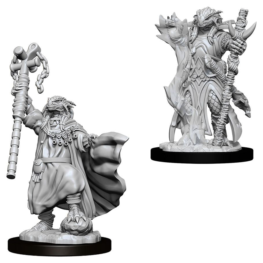 D&D: Nolzur's Marvelous Minis: Female Dragonborn Sorcerer W8