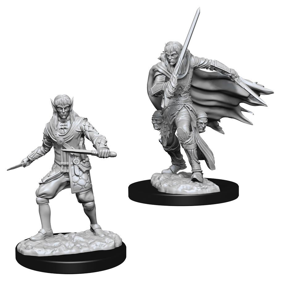 Pathfinder: Deep Cuts Minis: Male Elf Rogue W10