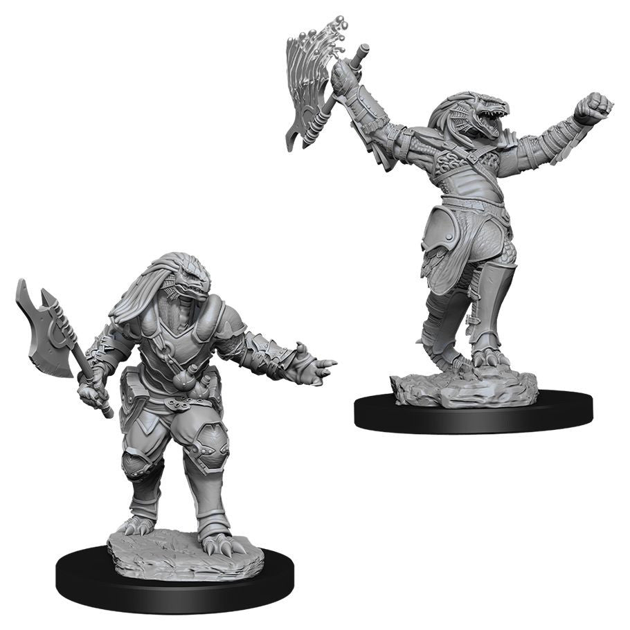 D&D: Nolzur's Marvelous Minis: Female Dragonborn Fighter W11